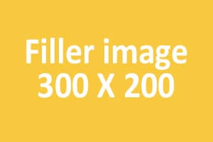 Lorem ipsum dolor sit amet, consectetur adipiscing elit. Etiam vulputate nec mauris non dignissim.