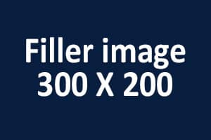 Lorem ipsum dolor sit amet, consectetur adipiscing elit. Etiam vulputate nec mauris non dignissim.